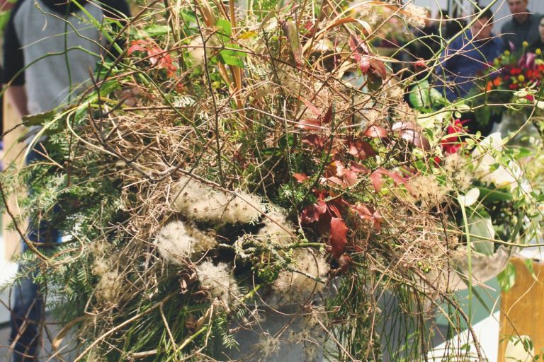 So leb' ich - Grüner wird's nicht