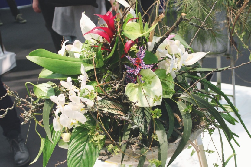 So leb' ich – Grüner wird's nicht