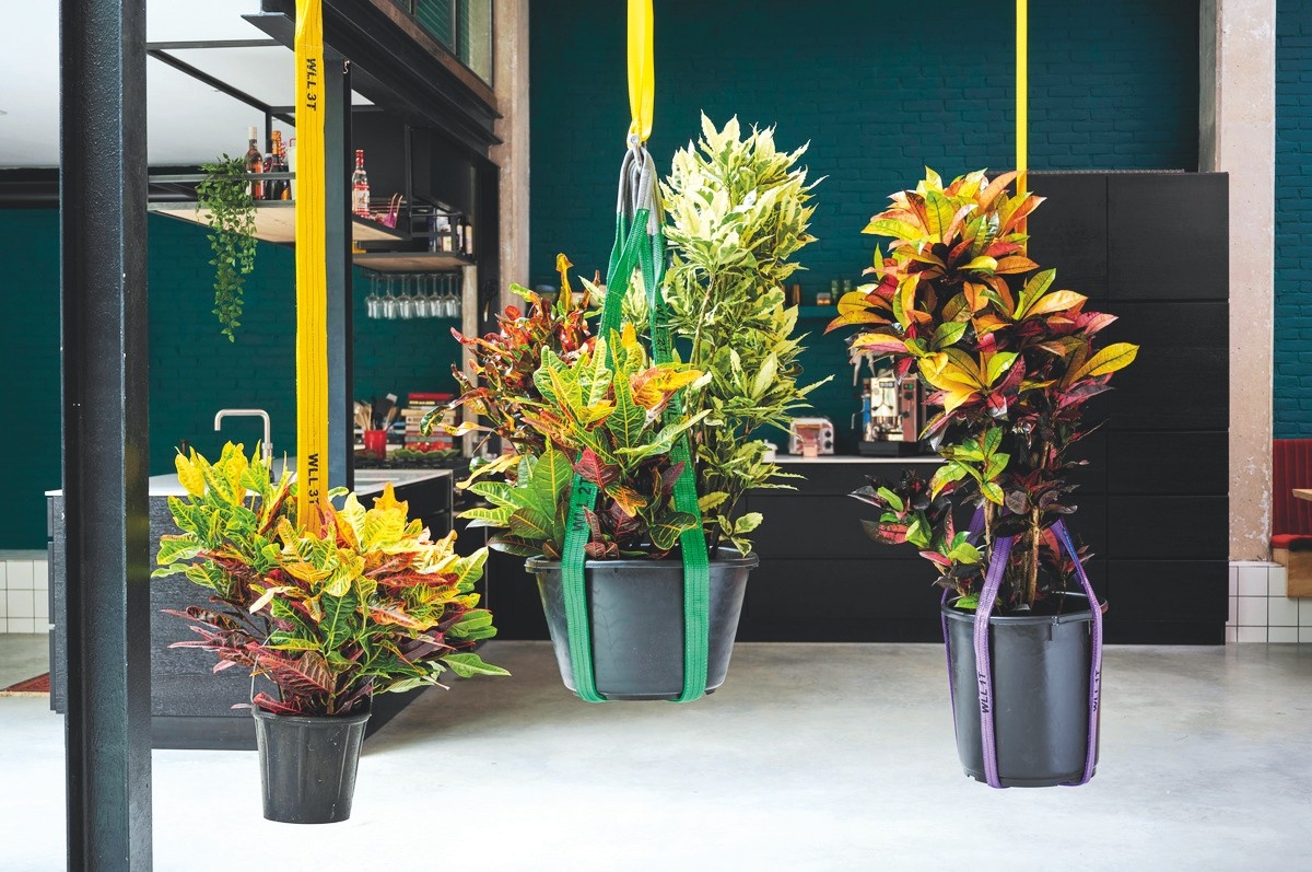 zimmerpflanzen wasserstandsanzeiger Blumentopf mit Anzeige Gre S fr gesunde Pflanzen