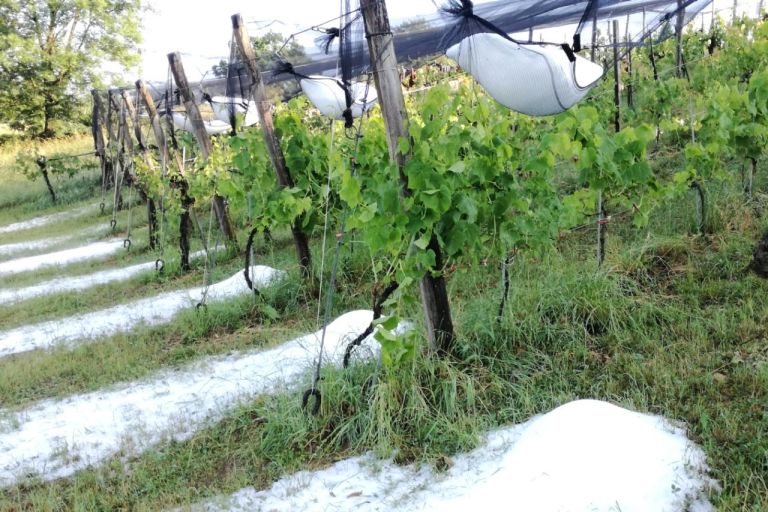 Wieder Unwetter mit schwerem Hagel