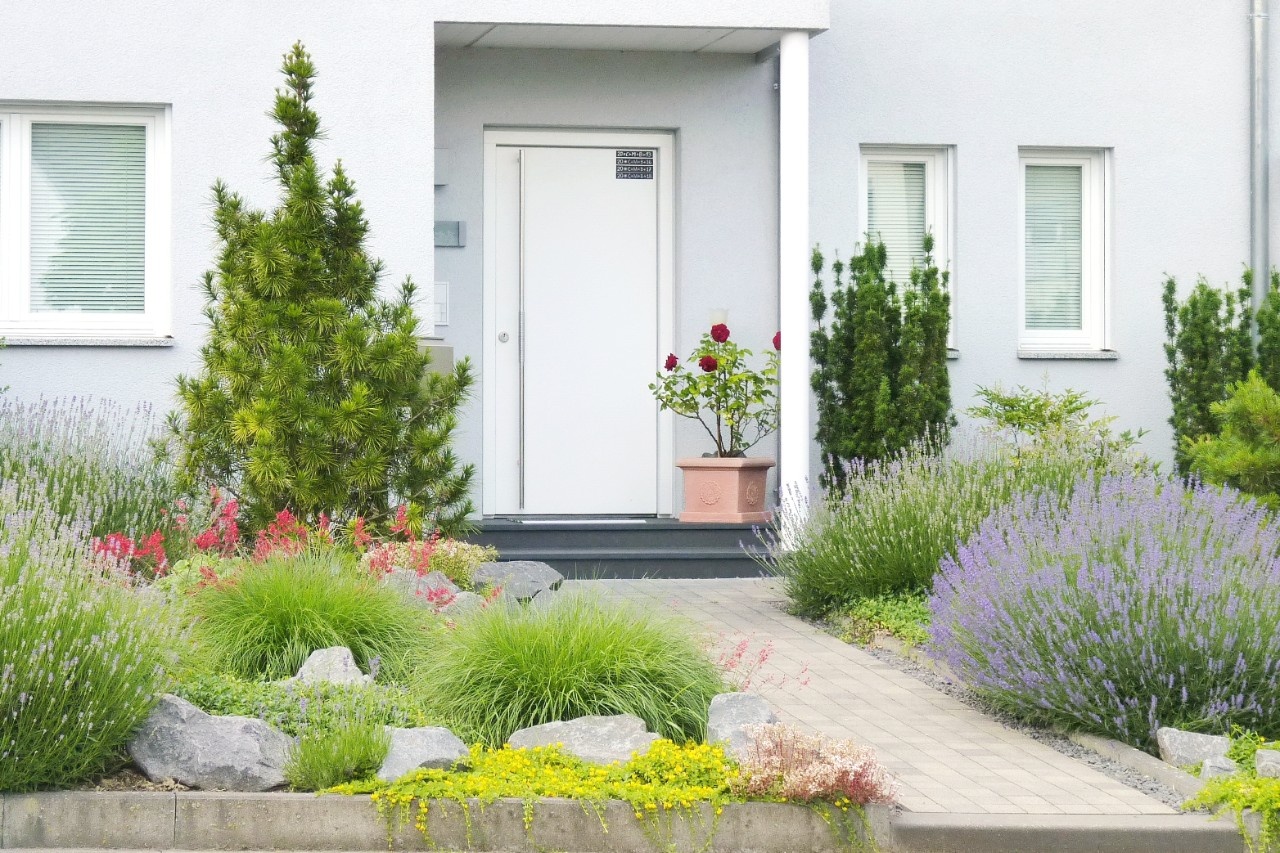 Grün statt Schotter und Kies