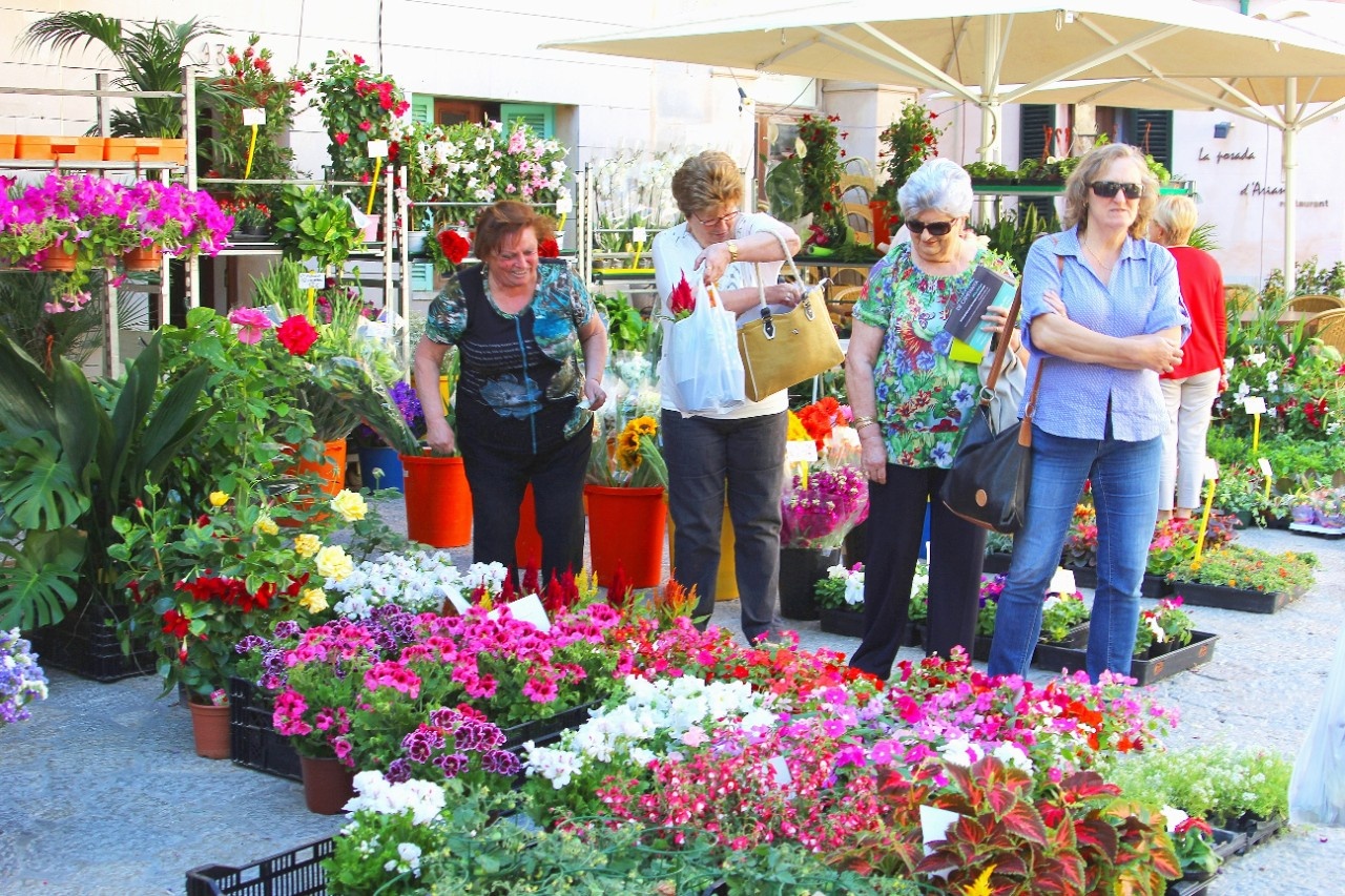 Gärtner liefern Balkon und Gartenpflanzen aus heimischer Produktion