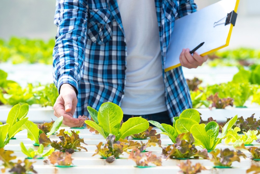 Aquaponik in der Großstadt