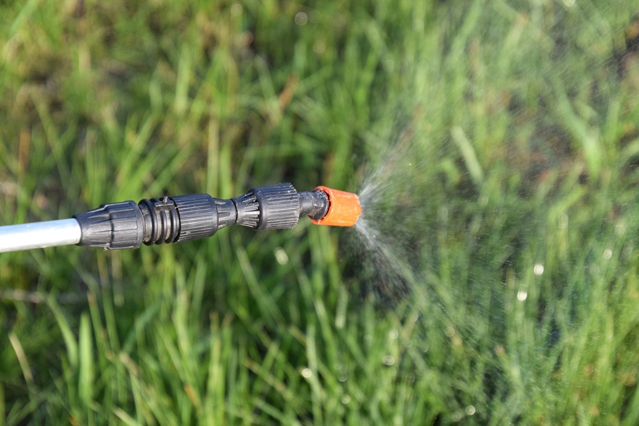 Neubewertung von Glyphosat veröffentlicht