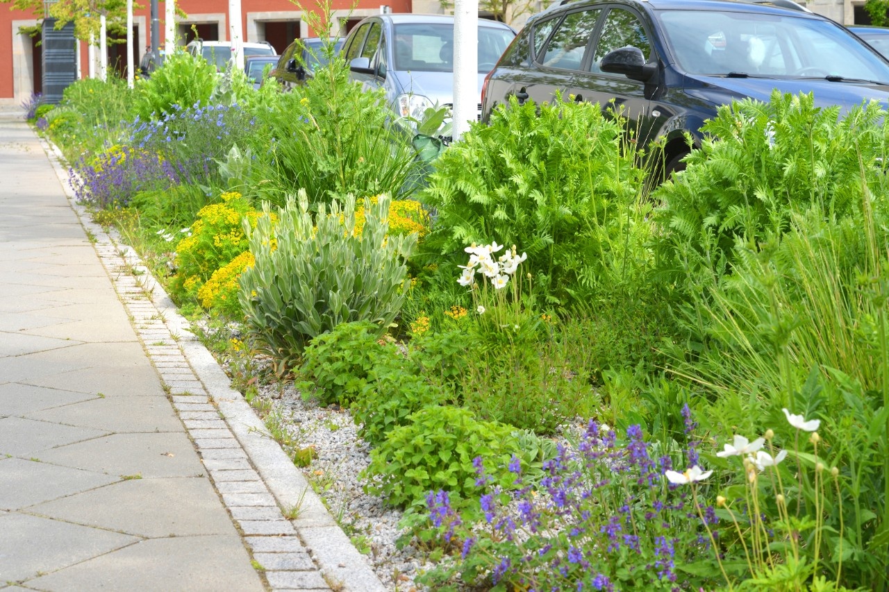 Naturnahe Pflege von Gärten und öffentlichen Grünflächen