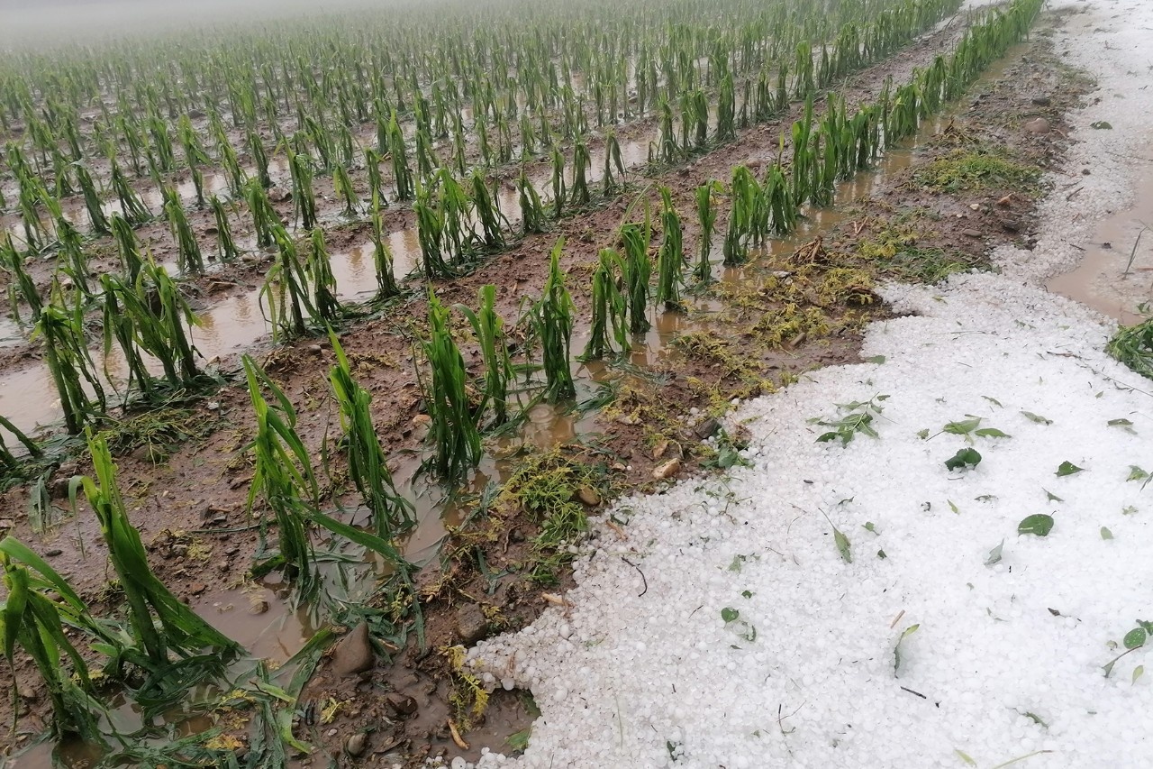 Unwetter zogen Spur der Verwüstung