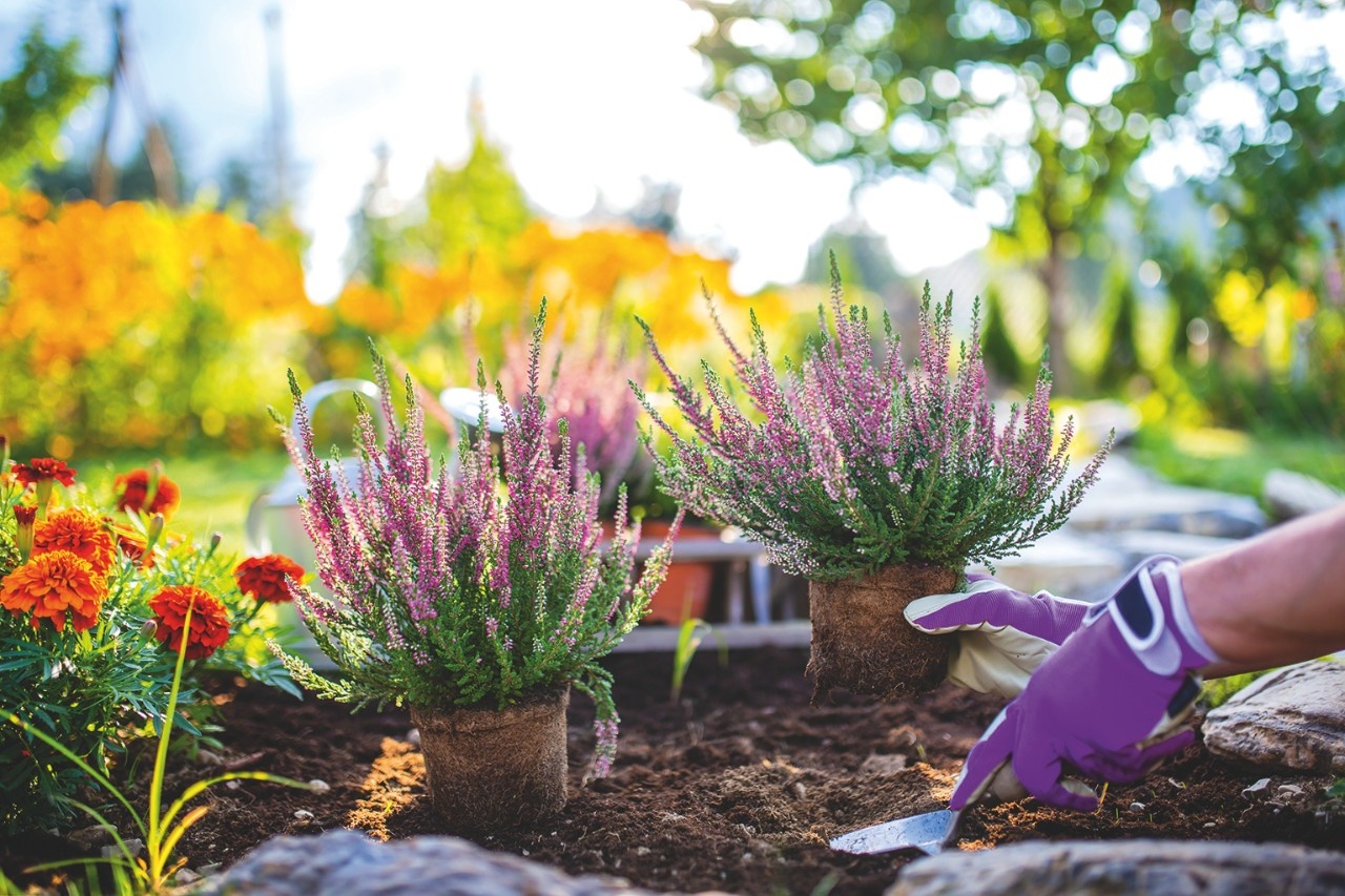 Anforderungen von Gartenbau und Industrie